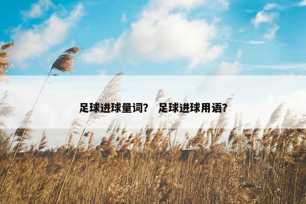 足球进球量词？ 足球进球用语？