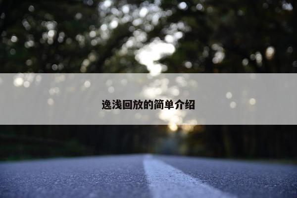 逸浅回放的简单介绍