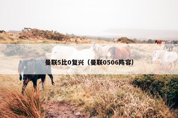 曼联5比0复兴（曼联0506阵容）