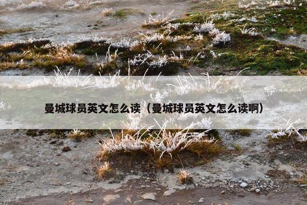 曼城球员英文怎么读（曼城球员英文怎么读啊）