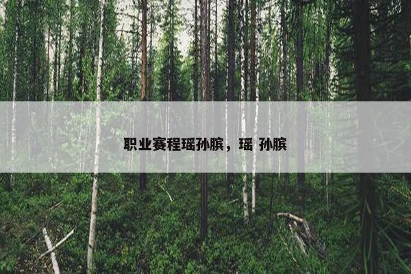职业赛程瑶孙膑，瑶 孙膑