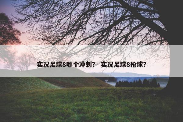 实况足球8哪个冲刺？ 实况足球8抢球？