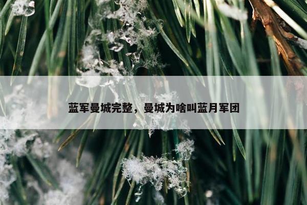 蓝军曼城完整，曼城为啥叫蓝月军团