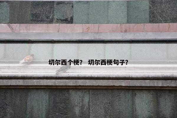 切尔西个梗？ 切尔西梗句子？
