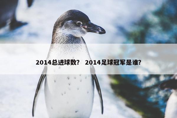 2014总进球数？ 2014足球冠军是谁？