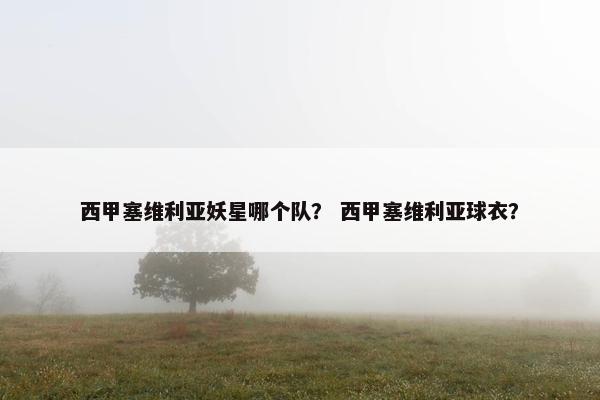 西甲塞维利亚妖星哪个队？ 西甲塞维利亚球衣？