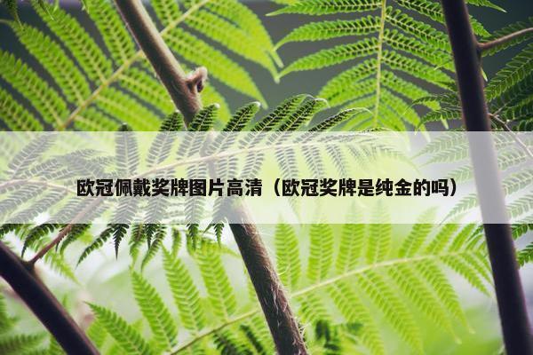 欧冠佩戴奖牌图片高清（欧冠奖牌是纯金的吗）