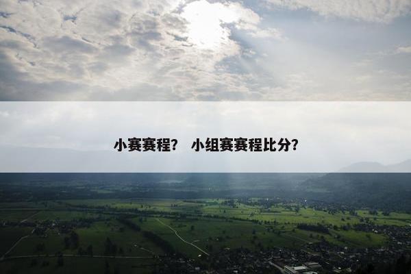 小赛赛程？ 小组赛赛程比分？