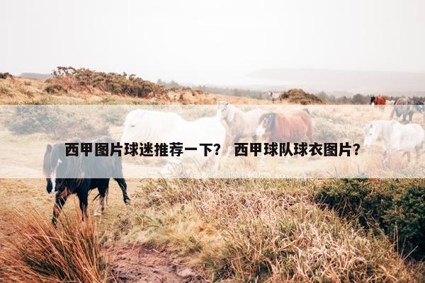 西甲图片球迷推荐一下？ 西甲球队球衣图片？