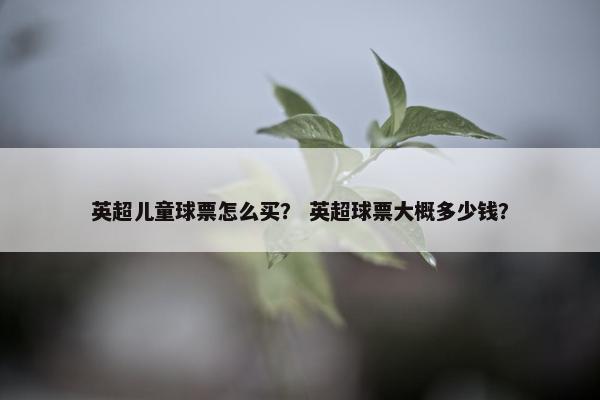英超儿童球票怎么买？ 英超球票大概多少钱？