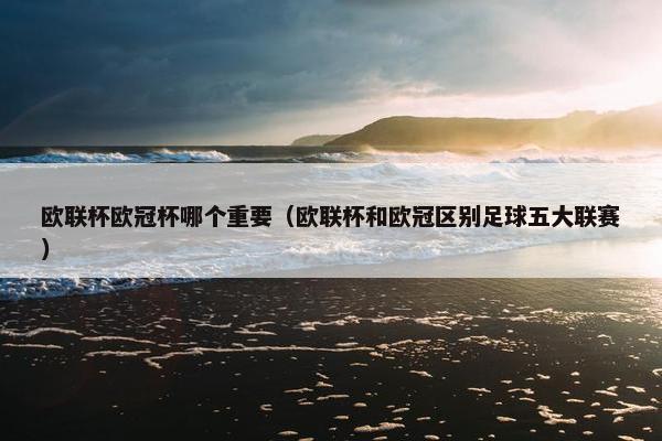 欧联杯欧冠杯哪个重要（欧联杯和欧冠区别足球五大联赛）