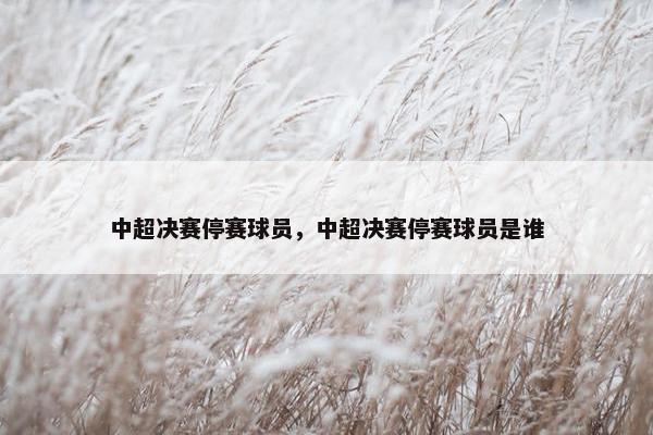 中超决赛停赛球员，中超决赛停赛球员是谁