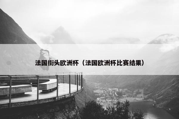 法国街头欧洲杯（法国欧洲杯比赛结果）