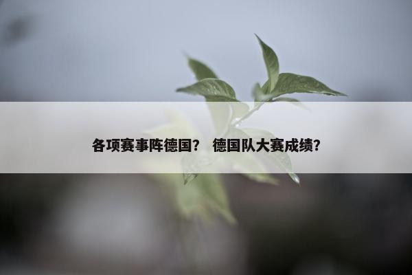 各项赛事阵德国？ 德国队大赛成绩？