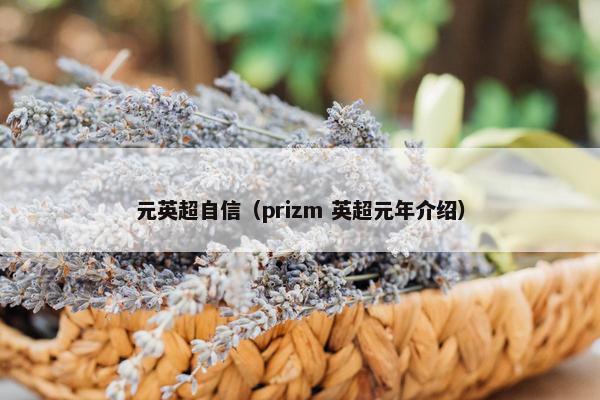 元英超自信（prizm 英超元年介绍）