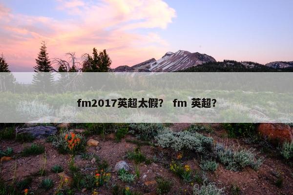 fm2017英超太假？ fm 英超？