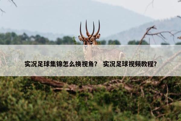 实况足球集锦怎么换视角？ 实况足球视频教程？