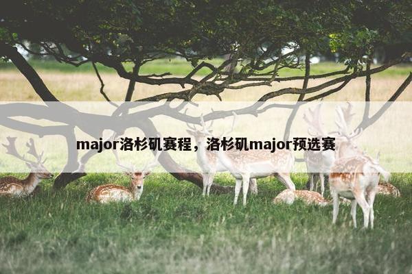 major洛杉矶赛程，洛杉矶major预选赛