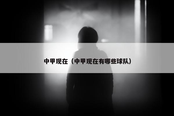 中甲现在（中甲现在有哪些球队）