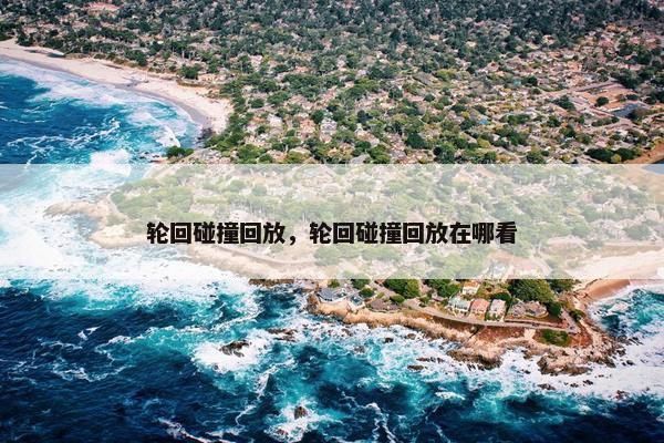 轮回碰撞回放，轮回碰撞回放在哪看