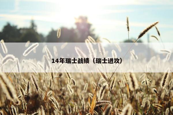 14年瑞士战绩（瑞士进攻）