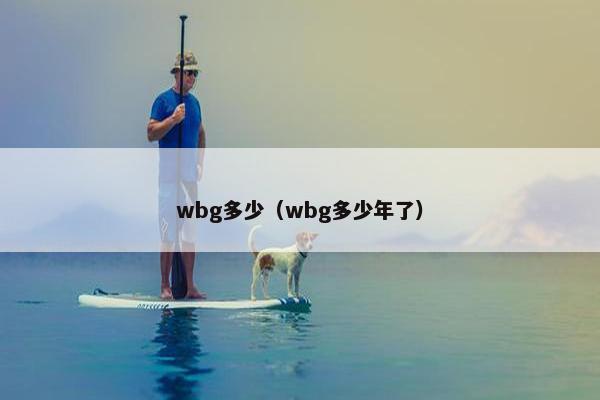 wbg多少（wbg多少年了）
