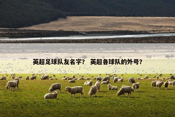 英超足球队友名字？ 英超各球队的外号？