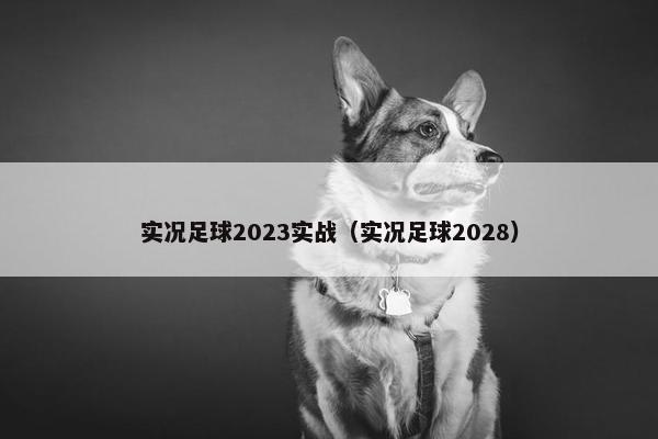 实况足球2023实战（实况足球2028）