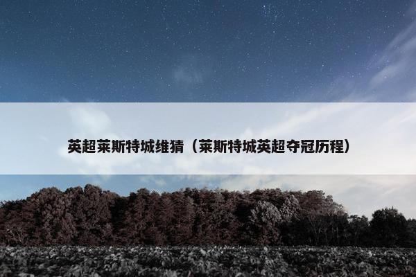 英超莱斯特城维猜（莱斯特城英超夺冠历程）