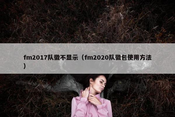 fm2017队徽不显示（fm2020队徽包使用方法）