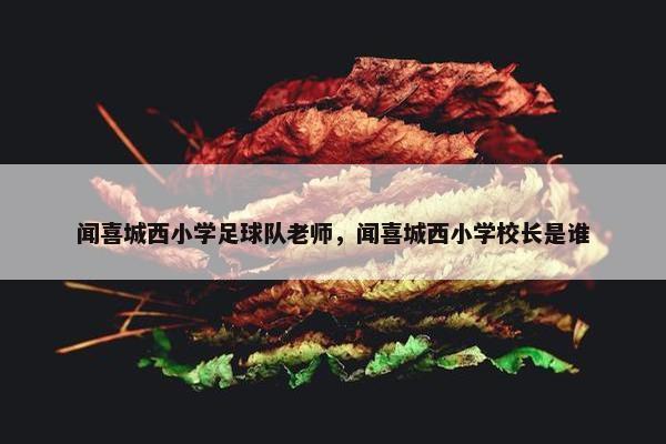闻喜城西小学足球队老师，闻喜城西小学校长是谁