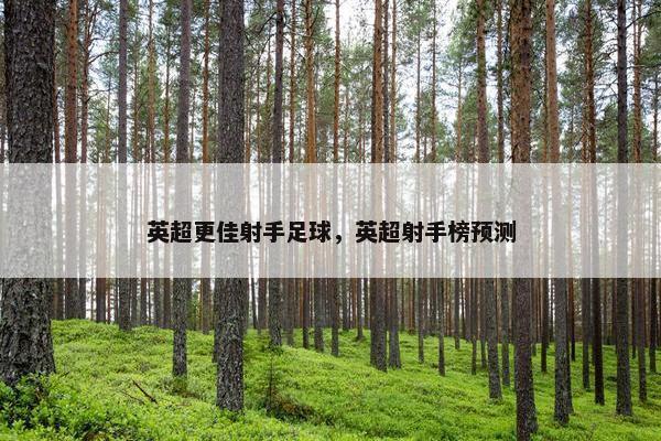 英超更佳射手足球，英超射手榜预测