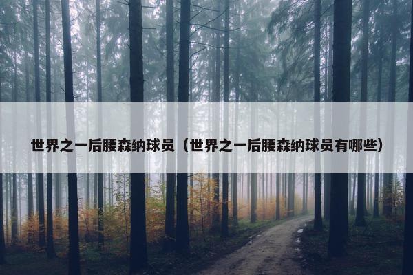 世界之一后腰森纳球员（世界之一后腰森纳球员有哪些）