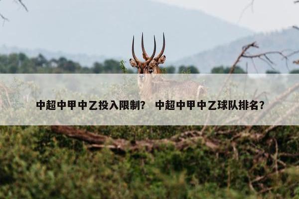 中超中甲中乙投入限制？ 中超中甲中乙球队排名？