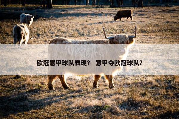 欧冠意甲球队表现？ 意甲夺欧冠球队？