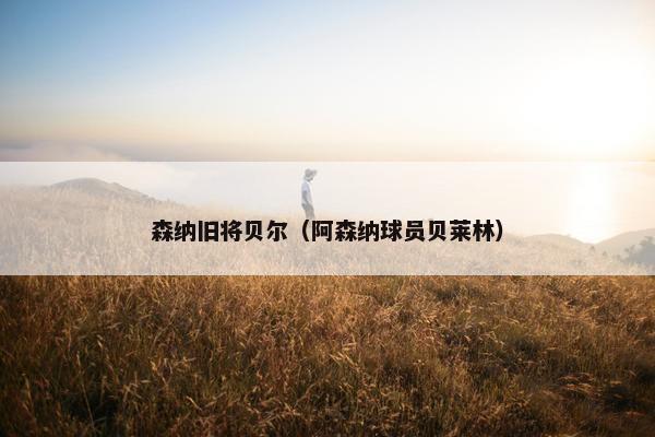 森纳旧将贝尔（阿森纳球员贝莱林）