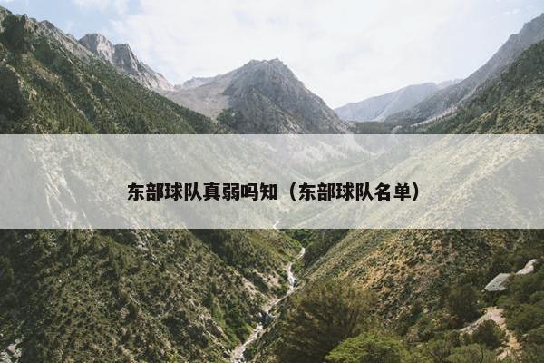 东部球队真弱吗知（东部球队名单）