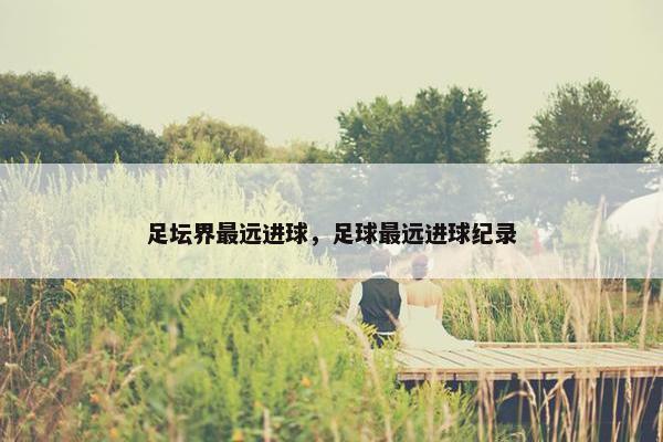 足坛界最远进球，足球最远进球纪录