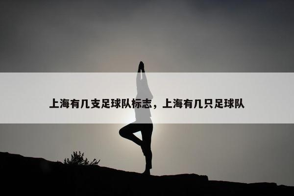 上海有几支足球队标志，上海有几只足球队