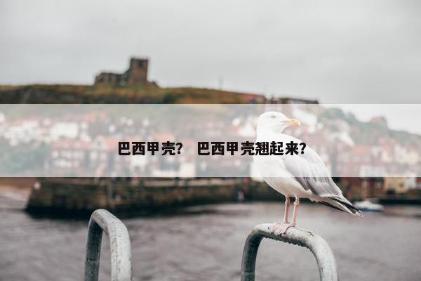 巴西甲壳？ 巴西甲壳翘起来？