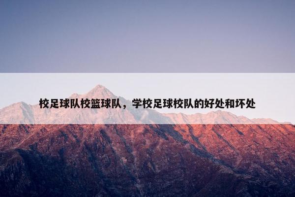 校足球队校篮球队，学校足球校队的好处和坏处
