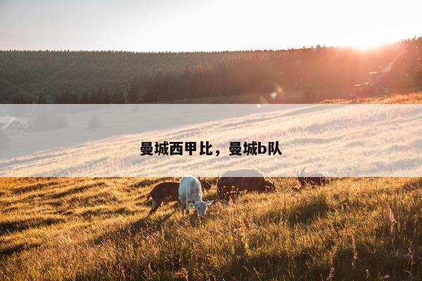 曼城西甲比，曼城b队