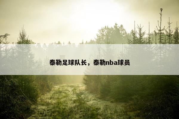 泰勒足球队长，泰勒nba球员