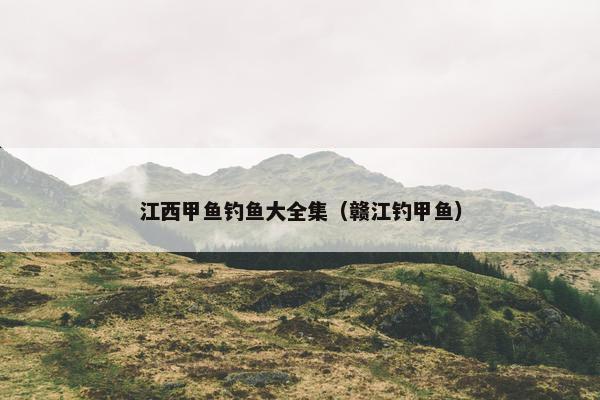 江西甲鱼钓鱼大全集（赣江钓甲鱼）