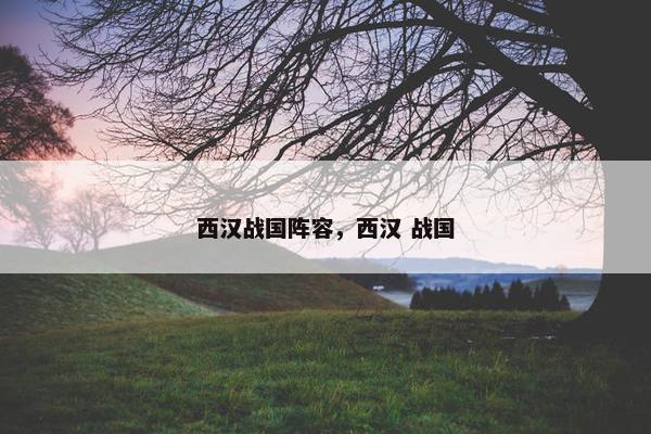 西汉战国阵容，西汉 战国