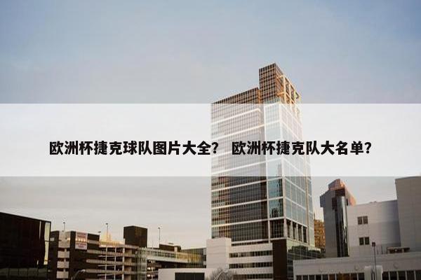 欧洲杯捷克球队图片大全？ 欧洲杯捷克队大名单？