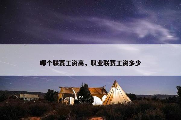 哪个联赛工资高，职业联赛工资多少