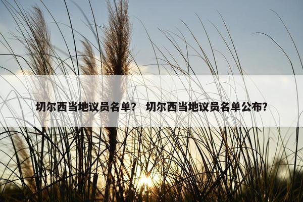 切尔西当地议员名单？ 切尔西当地议员名单公布？