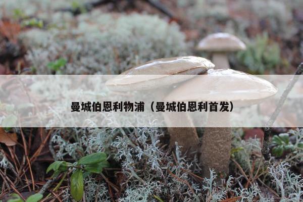 曼城伯恩利物浦（曼城伯恩利首发）