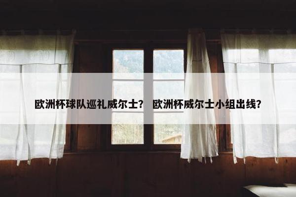 欧洲杯球队巡礼威尔士？ 欧洲杯威尔士小组出线？